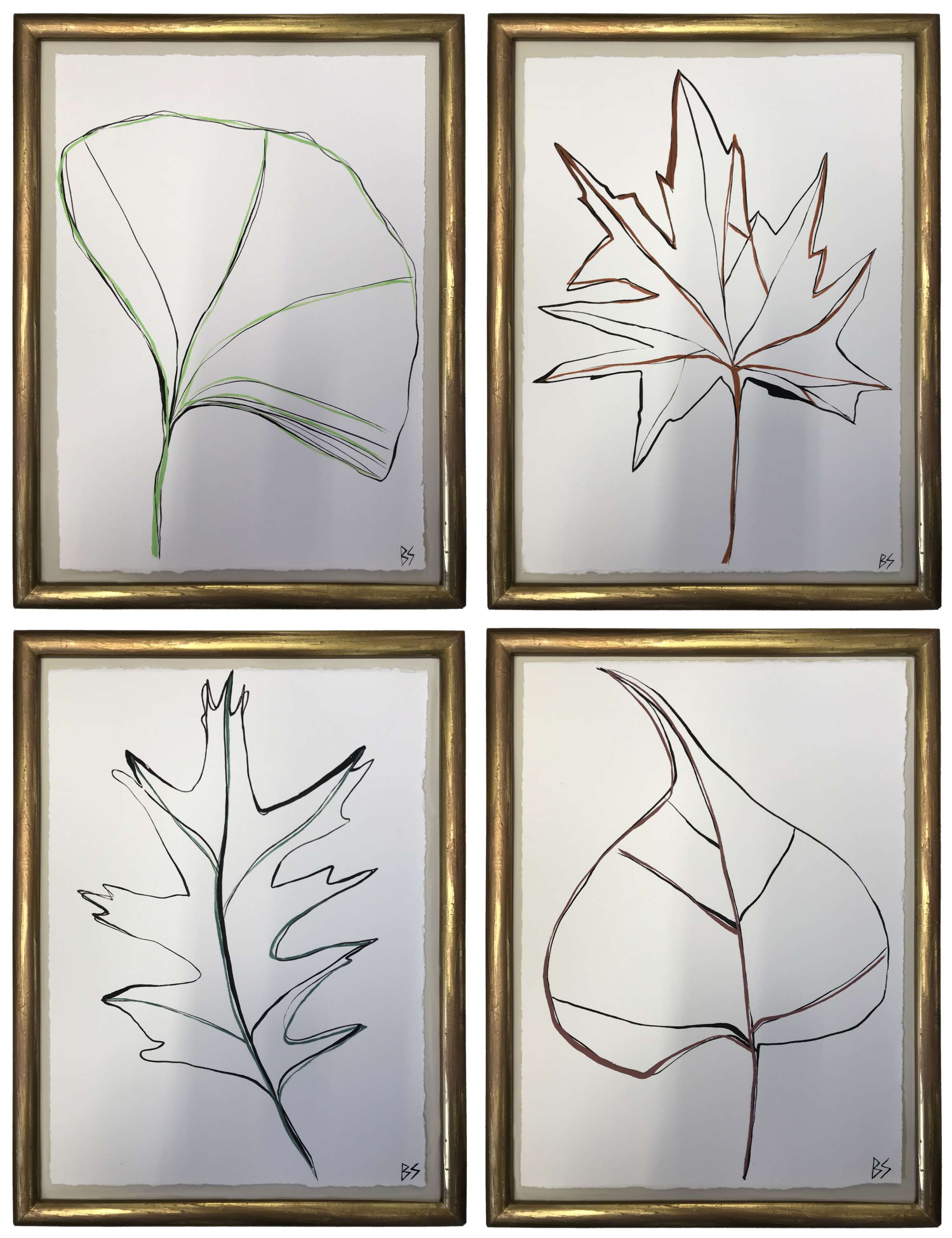 SET OF FOUR Botanical Leaves 'Sacred Tree', 'London Plane', 'Red Oak' & 'Ginkgo', Gouache on Paper in Vintage Gold Gilt/Bronze Finish Frames