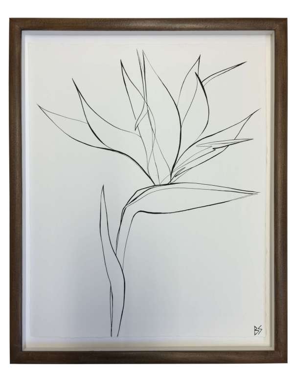 Set of 4 ‘Tropical Linear Botanical Studies’ Brown/Bronze Frames